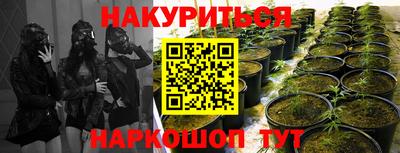 гидра Нягань