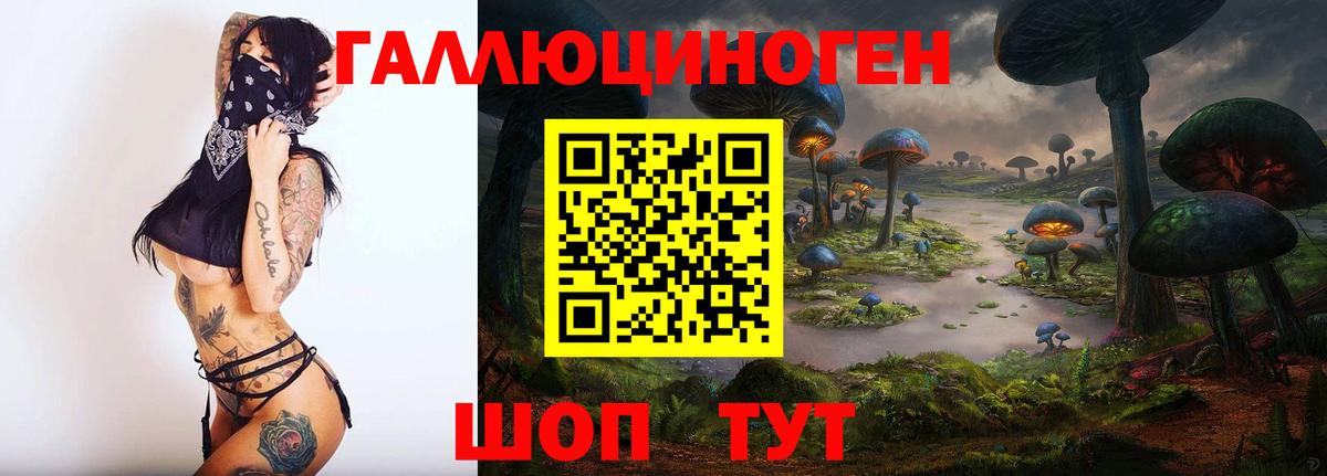 купить  сайты  Псилоцибиновые грибы Psilocybe  Троицк  Вход с VPN  Галлюциногенные грибы GOLDEN TEACHER 